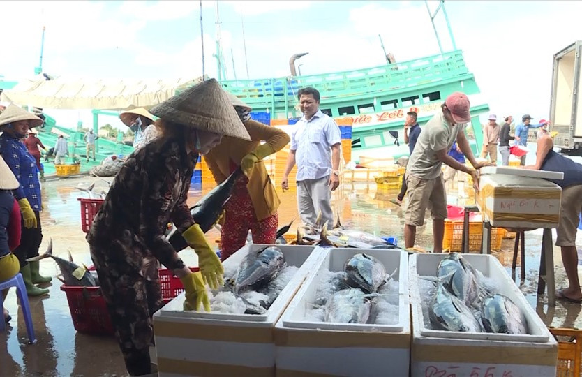 Phát triển kinh tế biển ở Bạc Liêu: Gỡ khó để xứng với tiềm năng