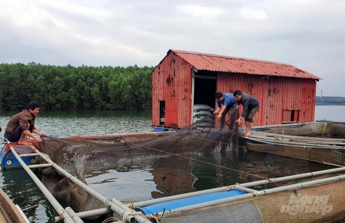 Nuôi trồng thủy sản kết hợp các tour du lịch
