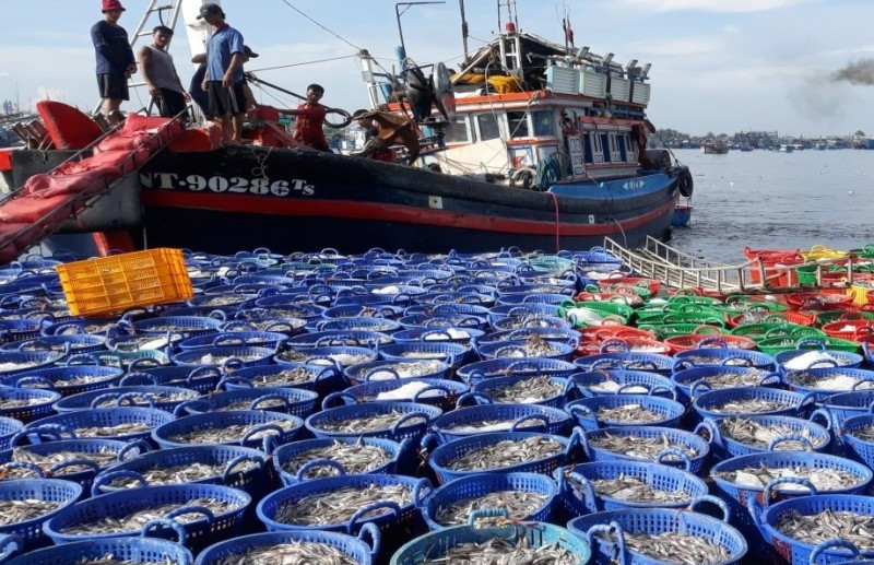 Ngư dân Ninh Thuận nâng cao ý thức chấp hành pháp luật trong khai thác thủy sản, khắc phục ‘thẻ vàng’ IUU