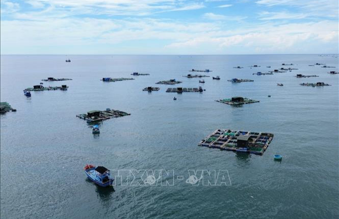 Kinh tế biển xanh tạo động lực phát triển bền vững kinh tế biển Việt Nam