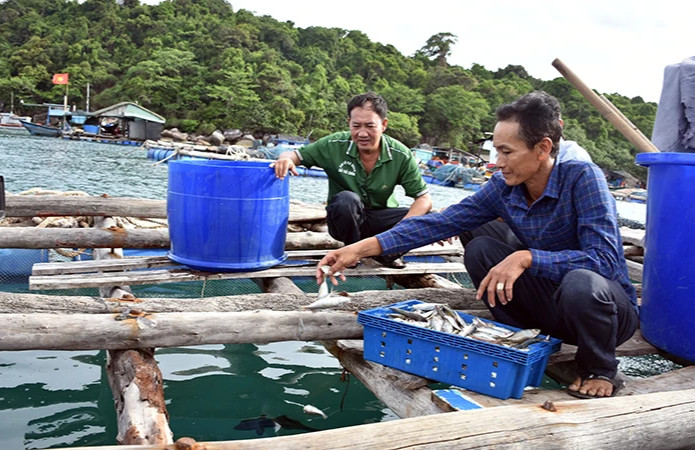 Giải pháp bền vững cho nghề khai thác hải sản