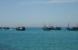 Quy định về hoạt động thủy sản trong vùng biển Việt Nam của tổ chức, cá nhân nước ngoài